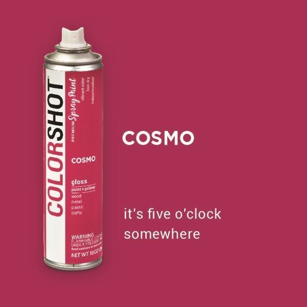 COLORSHOT Gloss Spray Paint Cosmo (Fuchsia) 10 oz. 4 Pack