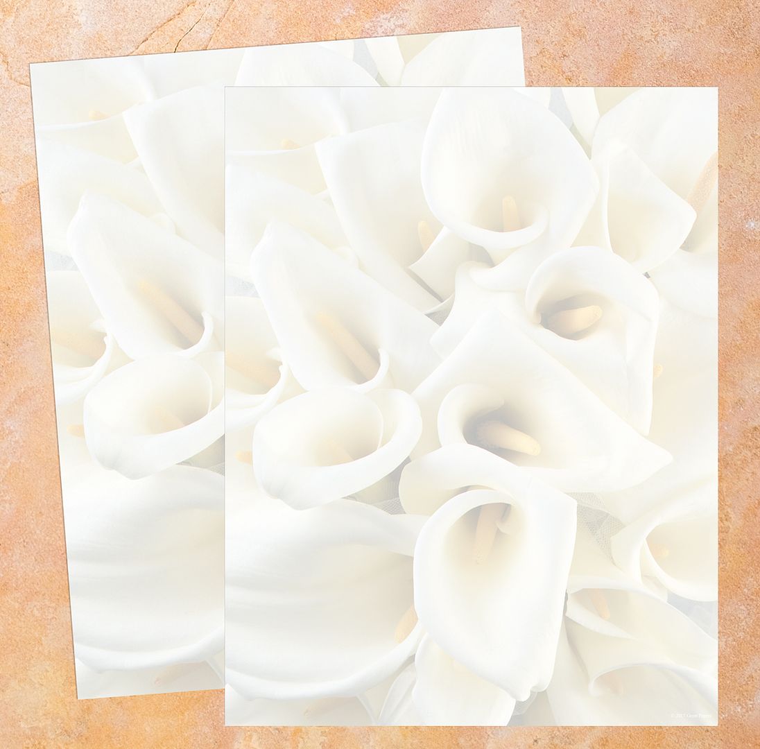 Great Papers! White Calla Lilies Stationery Letterhead, Invitations and Announcements, Printer Friendly, 8.5&#x22;x11&#x22;, 80 Pack