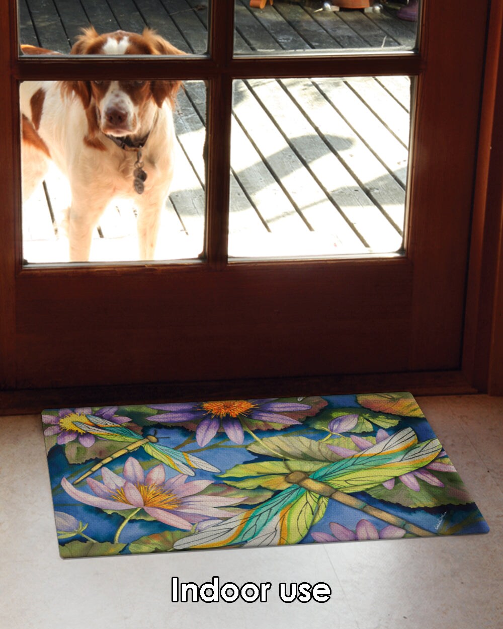  Nymphia Door Mat Machine Washable Entryway Rug, Pet