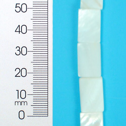6 Packs of Tinted Shell 10x15mm Rect Natural 2x8&#x22;