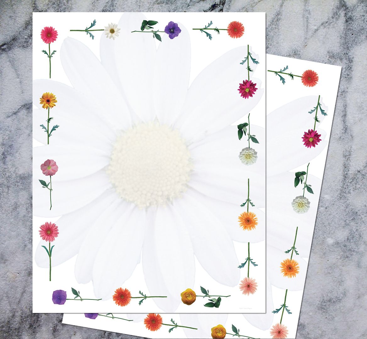 Great Papers! Daisies Stationery Letterhead, Invitations and Announcements, Printer Friendly, 8.5&#x22;x11&#x22;, 80 Pack