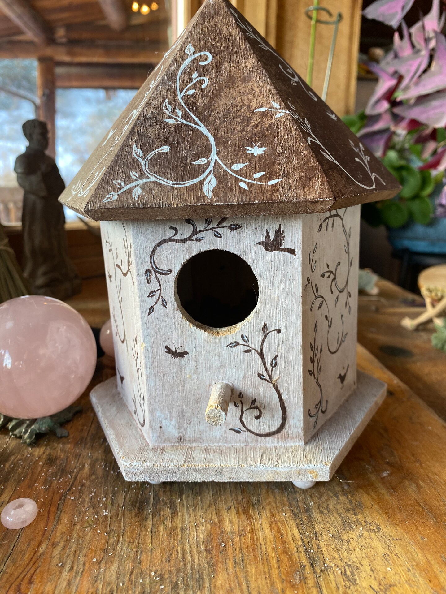 Bird offers and Vine Bandbox