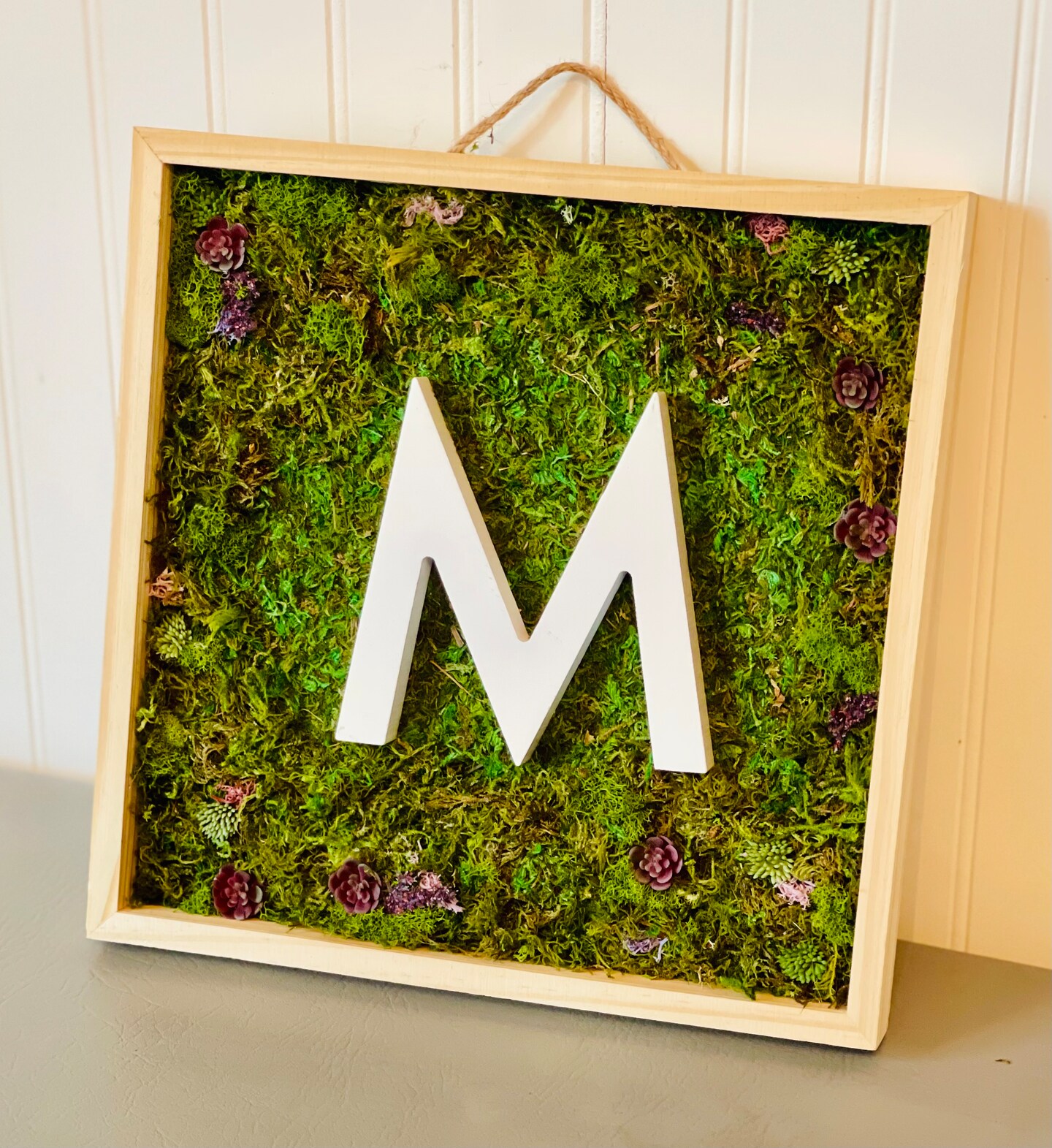 Preserved Moss Wall Art 12x12 Moss Frame May Green