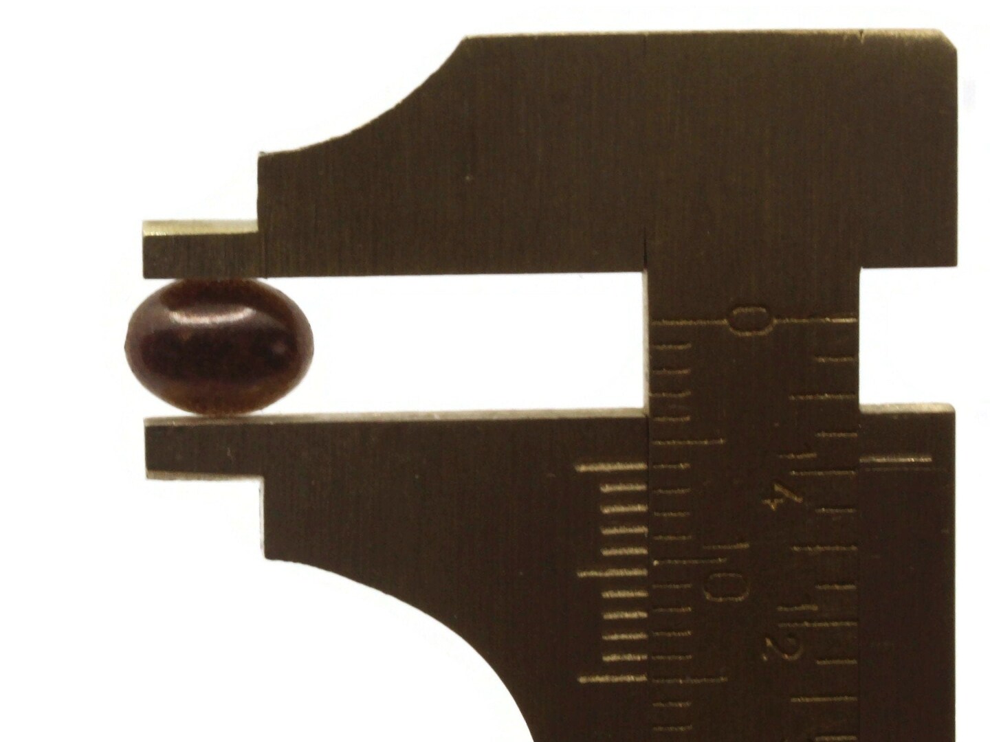 100 8mm x 6mm Brown Pearl Oval Flatback Plastic Cabochons