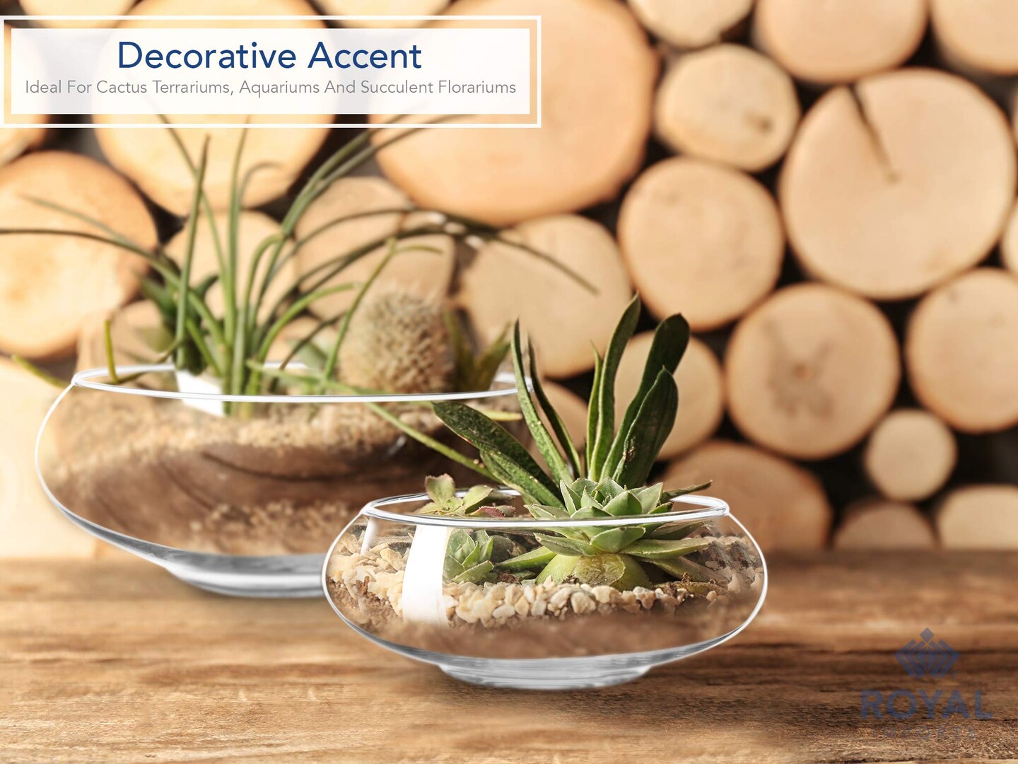 2 Pieces Flower Glass Vase, Bowl Terrarium Succulent Planter, Air Plant Hydroponic Display, Floating Candles Decorative Centerpiece Floral Container for Home or Wedding , Clear