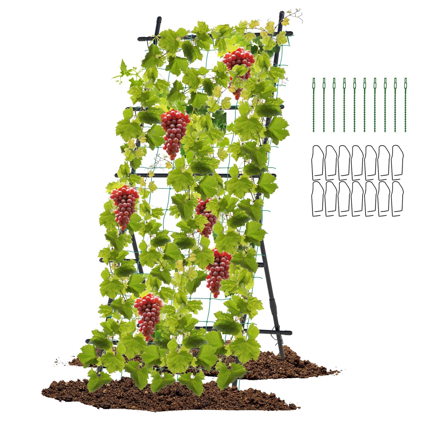 74 Inch Tall Garden Trellis For Flower Vine Vegetable Fruit Pea-Black