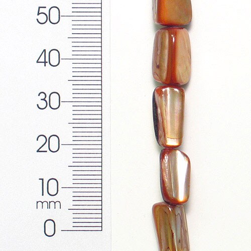 6 Packs of Tinted Shell Tube 8 in Strand Pack of 2