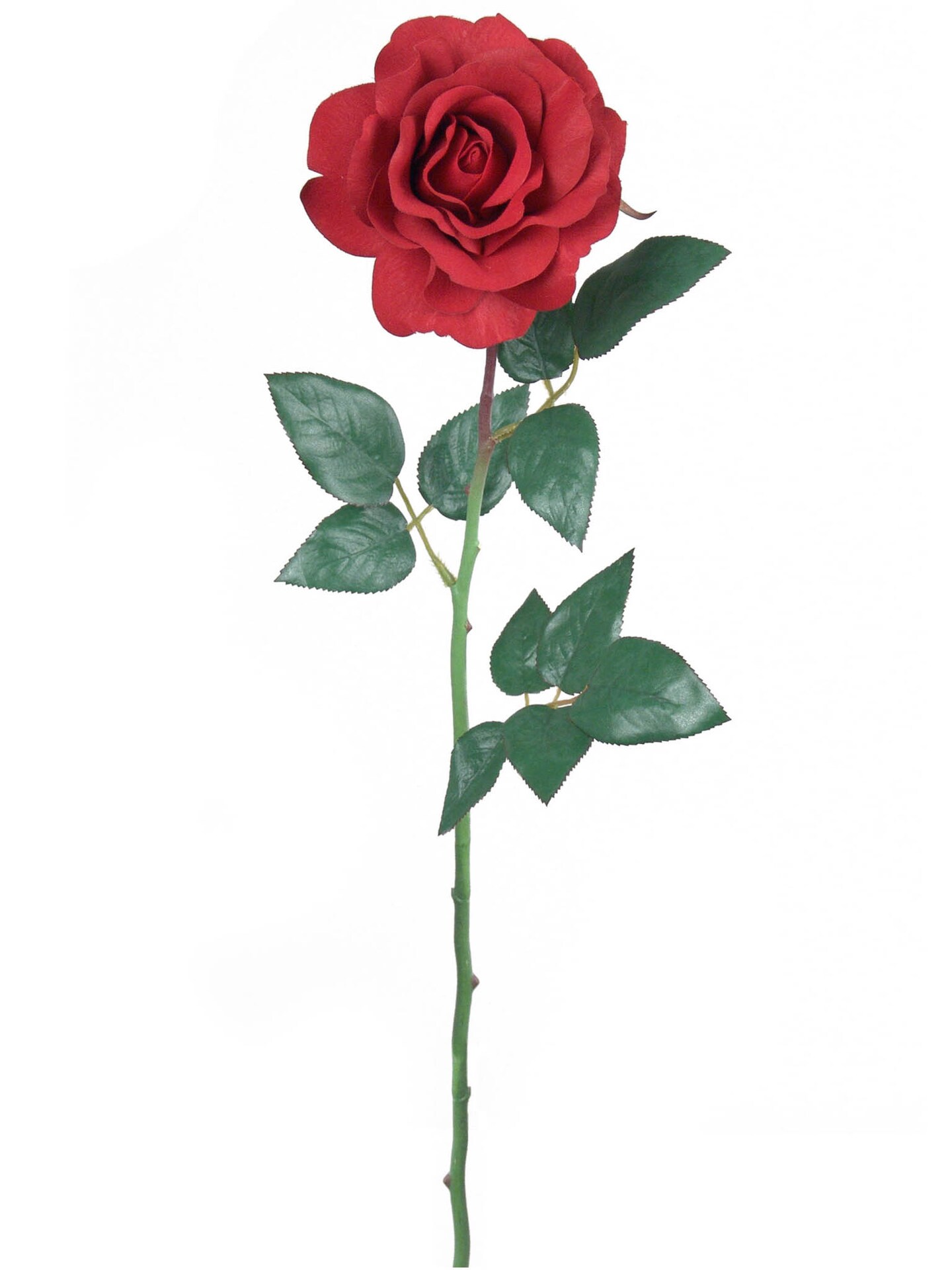 Set of 12 Artificial Red Planters Rose Stems 28Inch Indoor Use