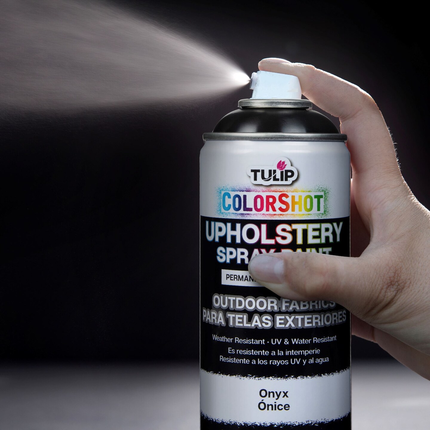 Tulip ColorShot Outdoor Fabric Upholstery Spray Onyx 4 Pack