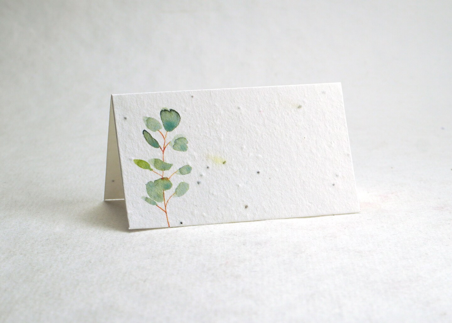 Wildflower Seed Paper Escort Cards Customizable Folding Tent Style Place Setting Name Card 3.5" X 4" Choose Your