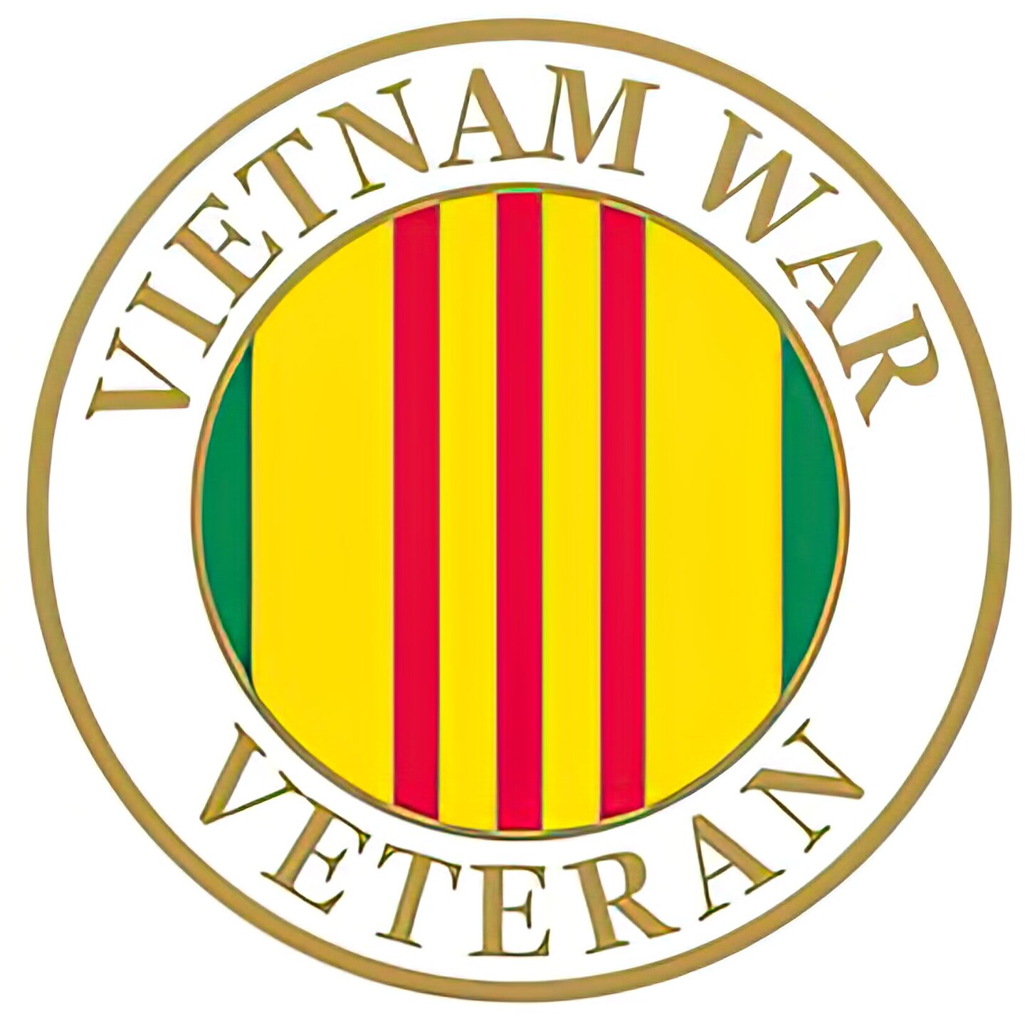 Vietnam Veterans of America Pin 1