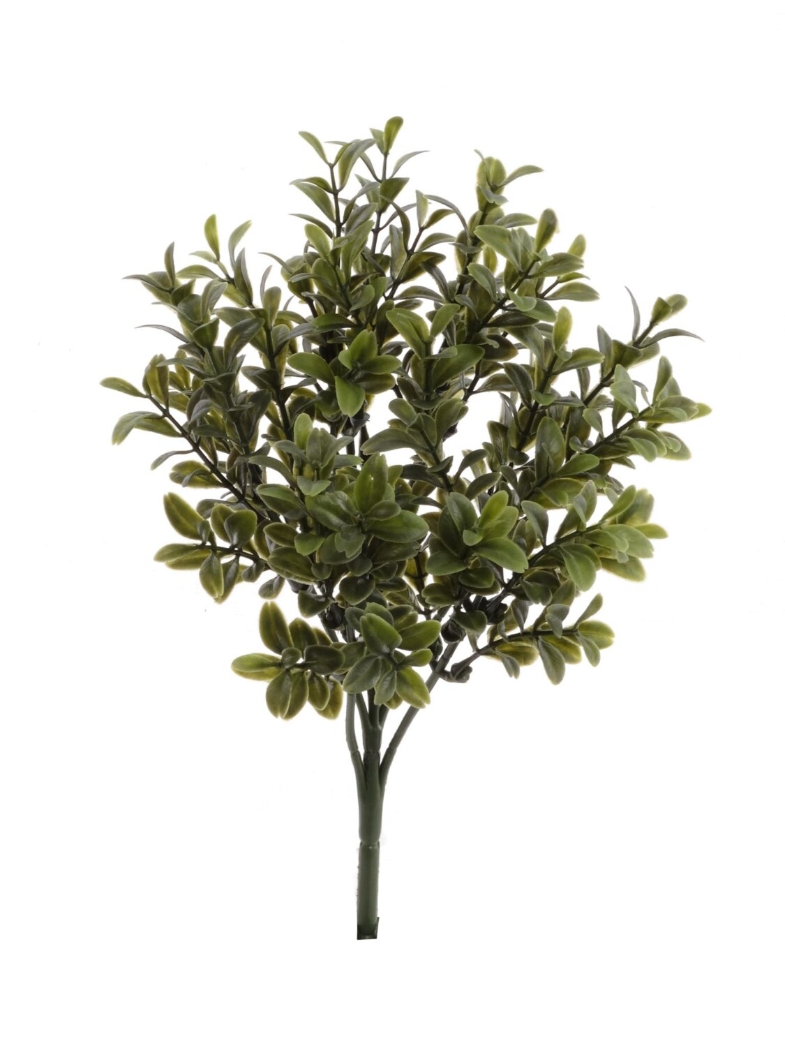 10" Boxwood Picks - Set of 24, Lifelike Artificial Stems, Perfect for Floral Arrangements, Home & Event Décor - Ideal for All Seasons, Floral Home by Artificial Flowers
