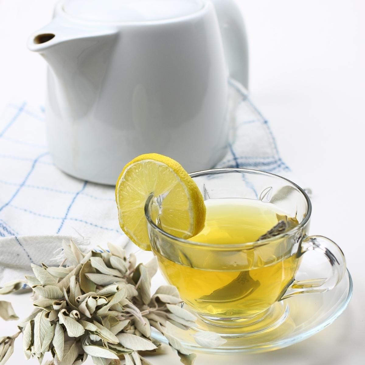 White Tea & Sage Fragrance Oil (Our Version of the Brand Name) (8 oz Bottle) for Candle Making, Soap Making, Tart Making, Room Sprays, Lotions, Car Fresheners, Slime, Bath Bombs, Warmers…