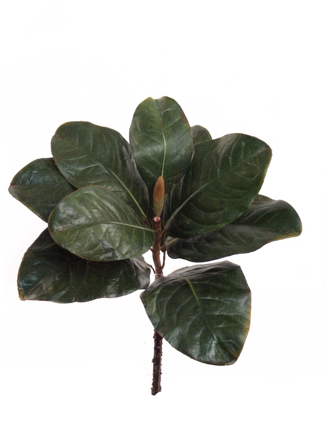 Premium 12&#x22; Realistic Magnolia Leaf Picks - Set of 24 - Handcrafted Greenery for Home Decor, Weddings, Events - Top-Rated, Best-Selling Faux Floral Accents, Floral Home by Artificial Flowers