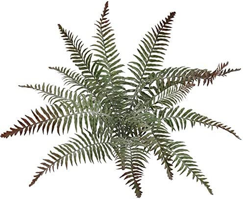 2pc 20" Artificial Boston Fern w/ Dusty Finish – Lifelike Greenery