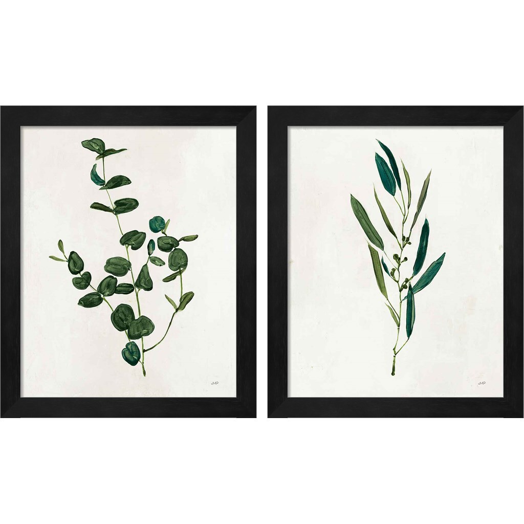 Botanical Study Greenery by Julia Purinton 9