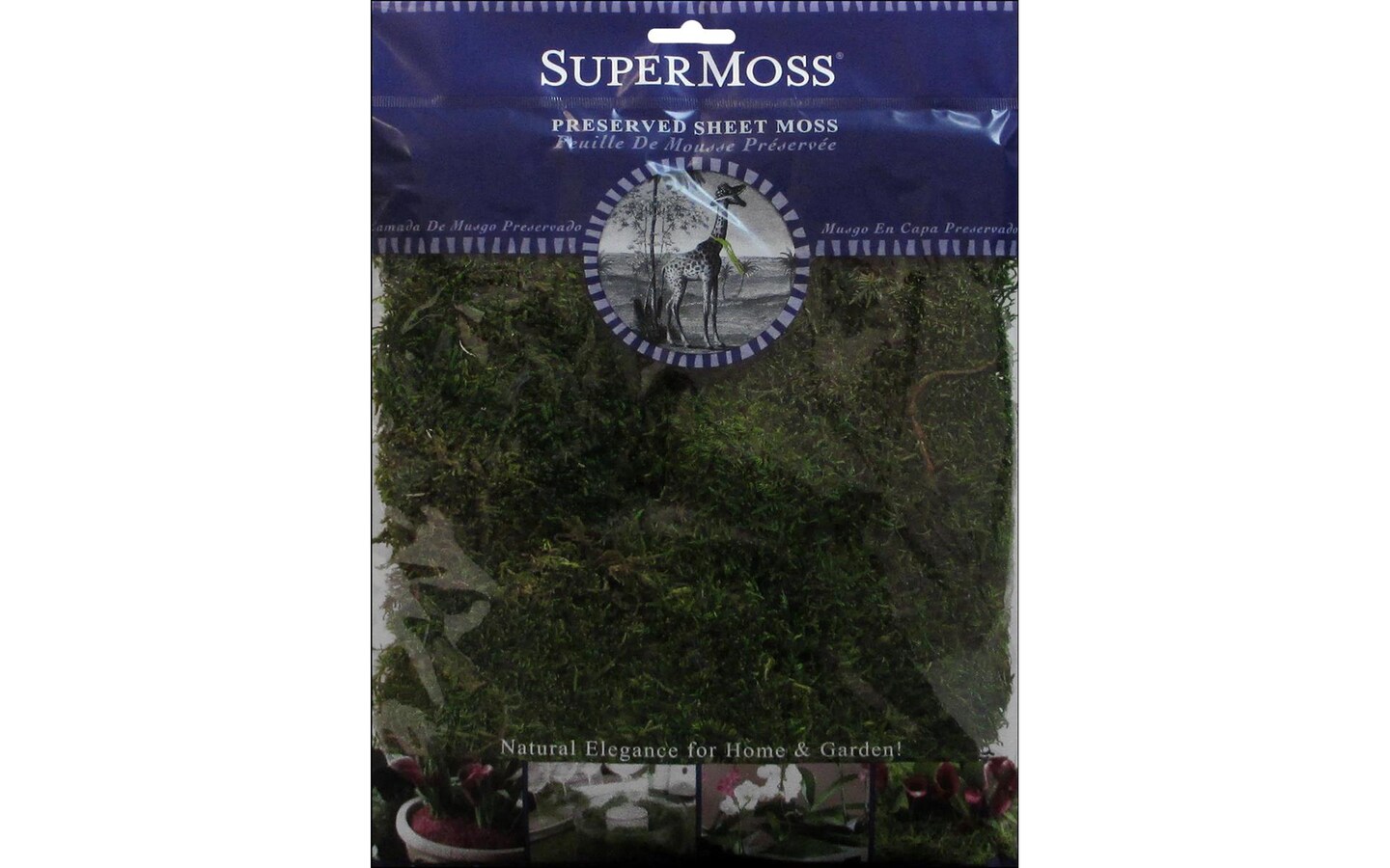 Super Moss 2oz Preserved Green Sheet Moss