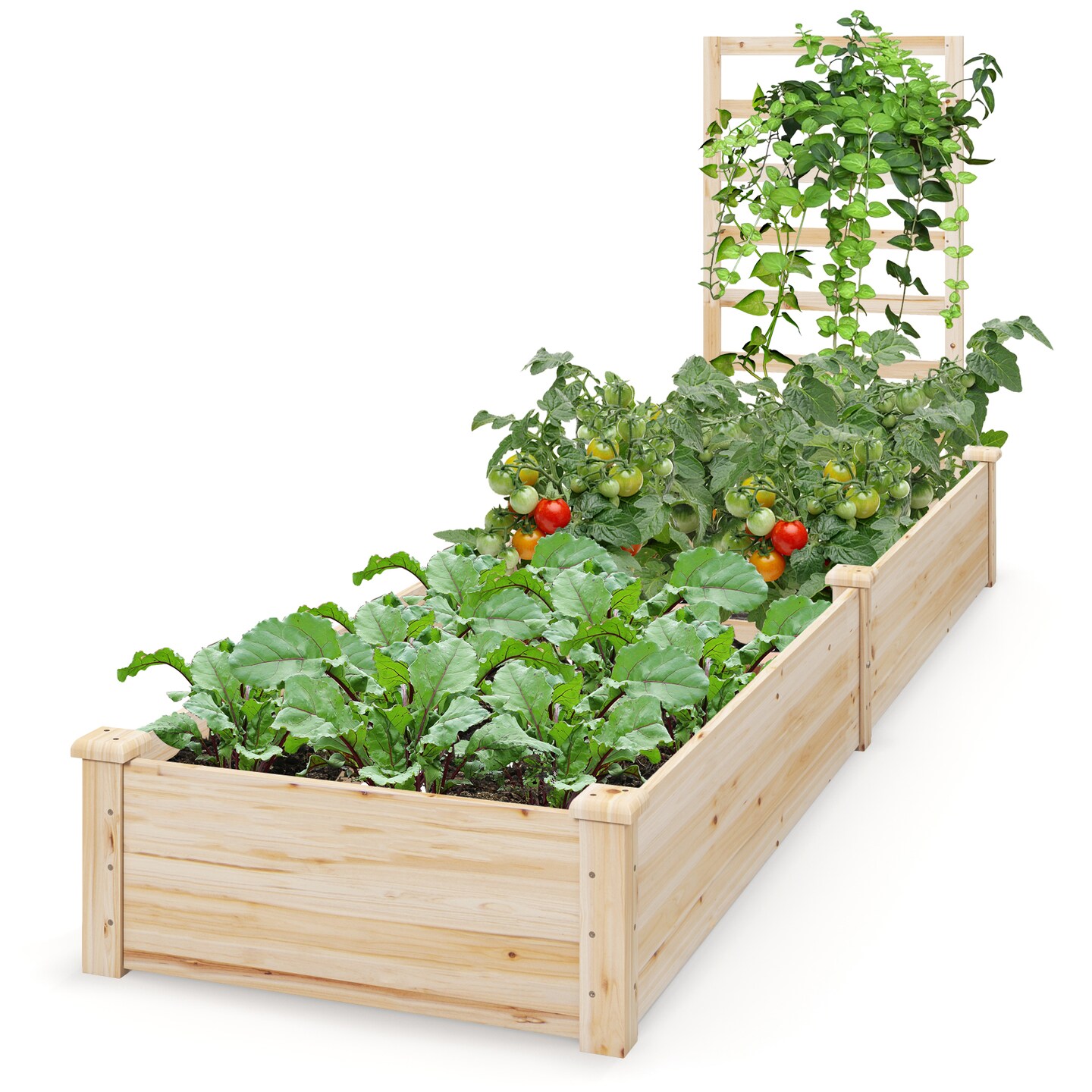 Natural Fir Wood Raised Garden Bed 2 Compartments 1 Climbing Trellis Outdoor