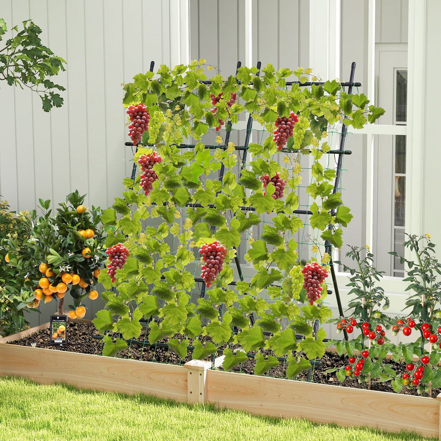 74 Inch Tall Garden Trellis For Flower Vine Vegetable Fruit Pea-Black