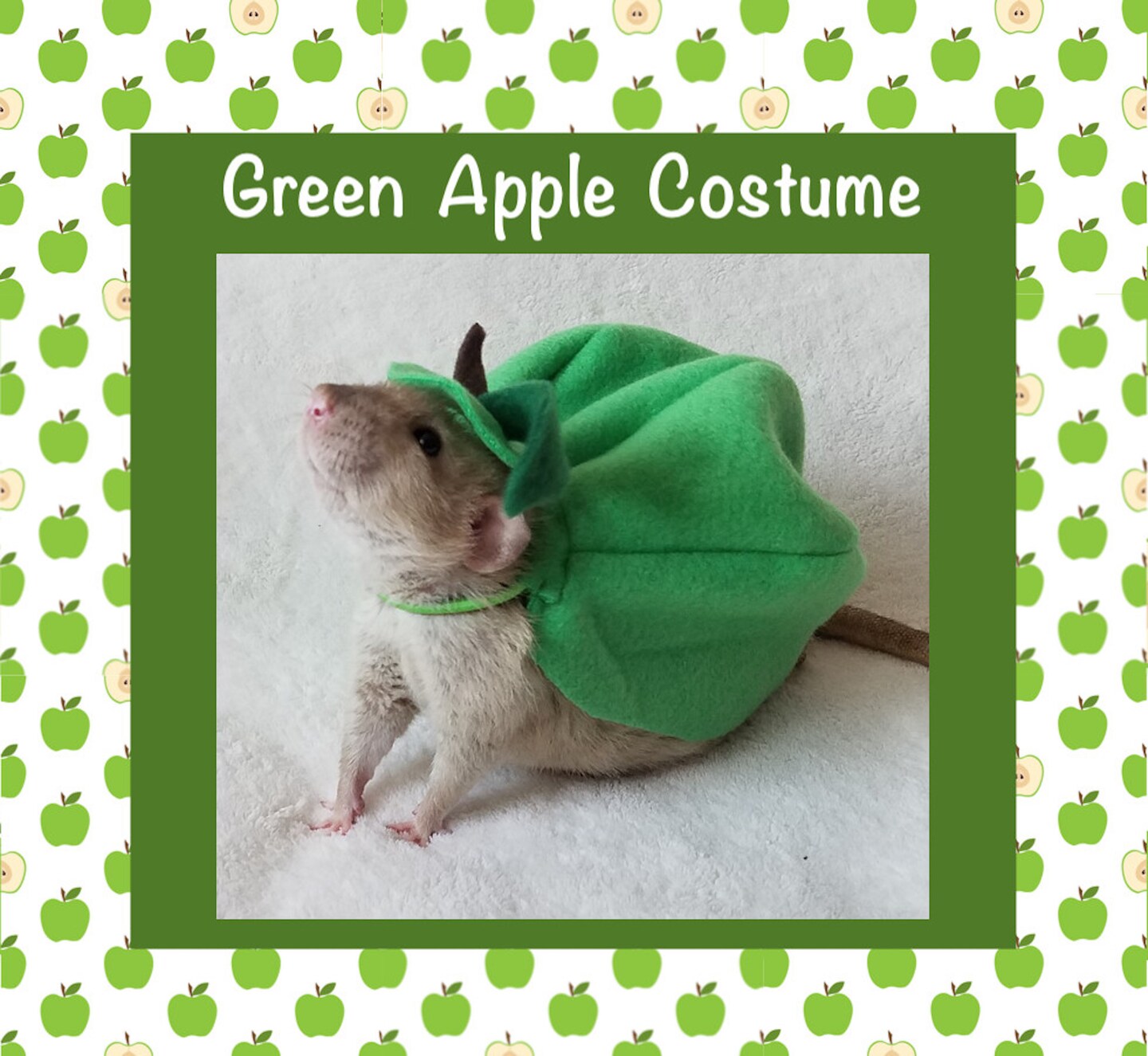 Apple Costume for Pet Rats or Other Small Animals, Halloween Dress Up Fun | MakerPlace by Michaels Apple Costume for Pet Rats or Other Small Animals, Halloween Dress Up Fun | MakerPlace by Michaels