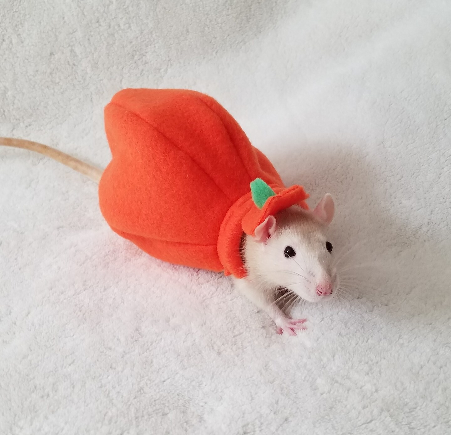 Pumpkin Costume for Pet Rats, Halloween Costume for Small Animals product 2