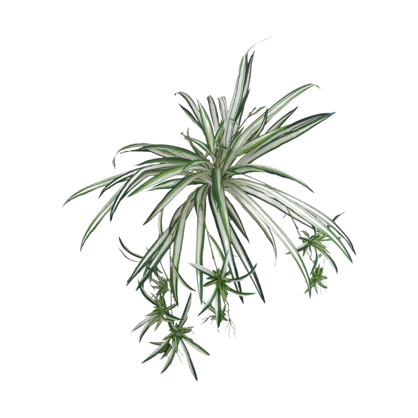 12-Pack: UV Spider Fern Plant with 60 Silk Fronds, 32&#x22; Wide by Floral Home&#xAE;