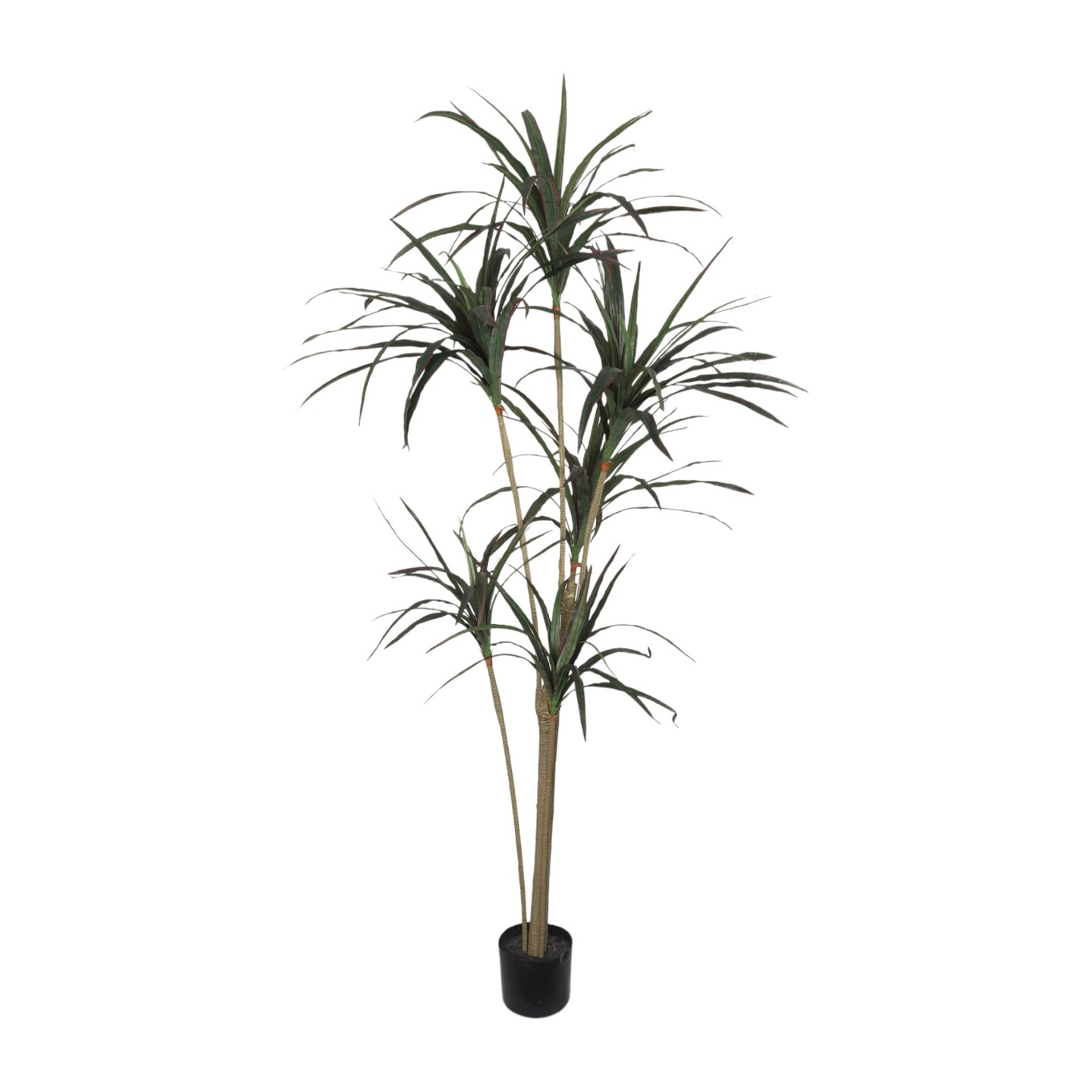 6ft Dracaena Marginata in Black Pot with 146 Silk Leaves by Floral Home&#xAE;