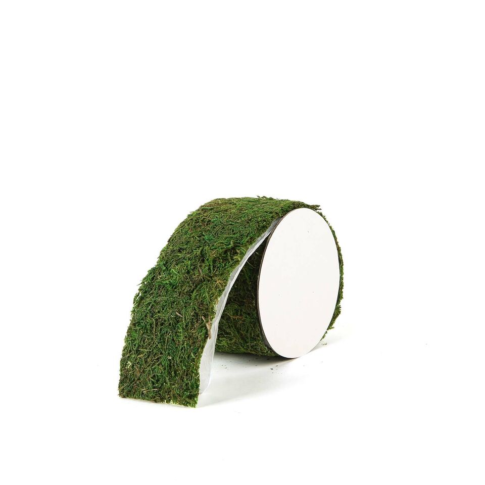 3x48 in Green Natural Moss Ribbon Roll