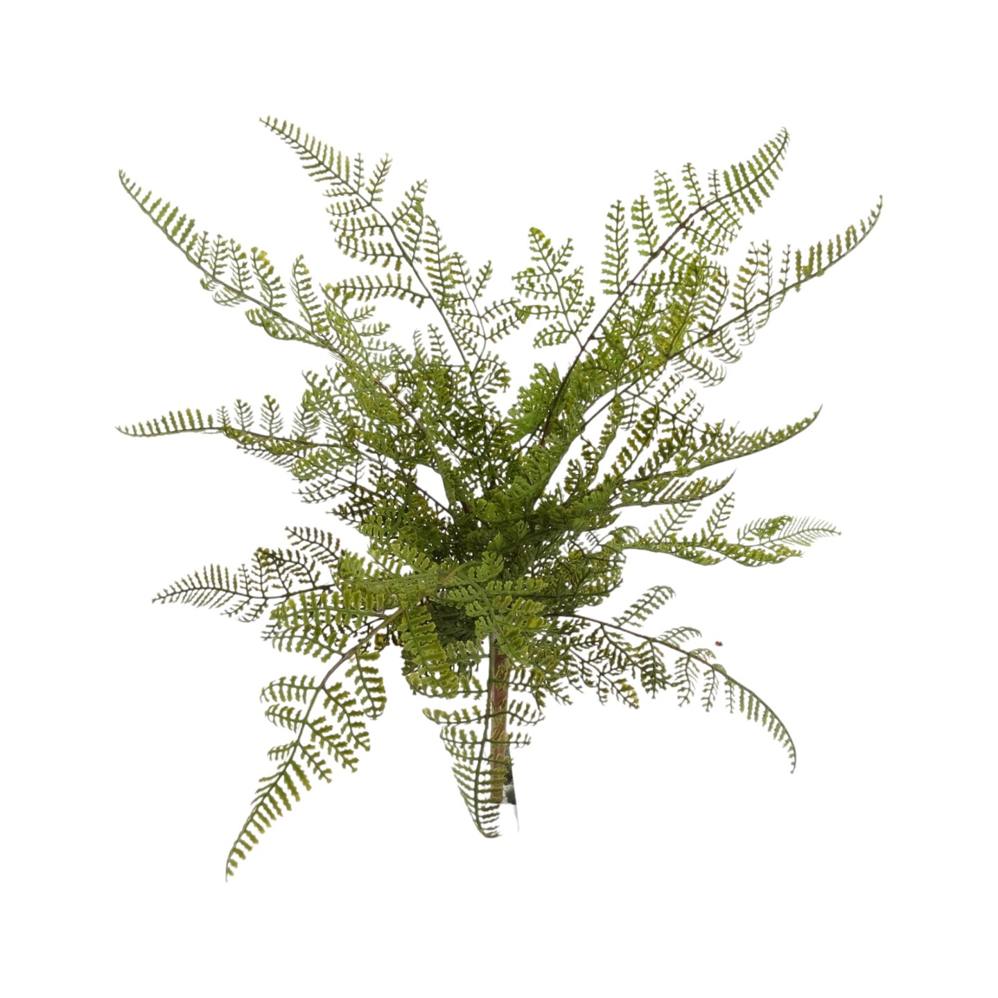 12-Pack: 17" UV Leather Leaf Bush with Lifelike Fronds, Floral Home by Artificial Flowers