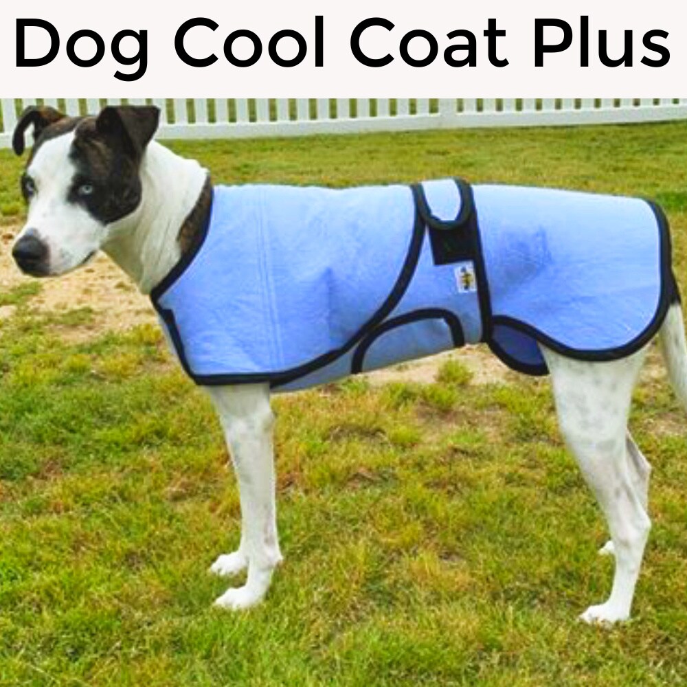 Dog cool coat plus, Small dog cooler, custom dog cool coat, dog cool ...