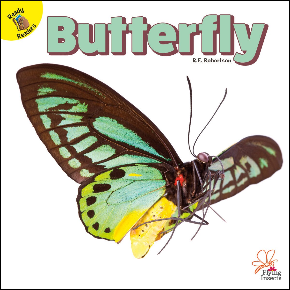 Rourke Educational Media Flying Insects Butterfly
