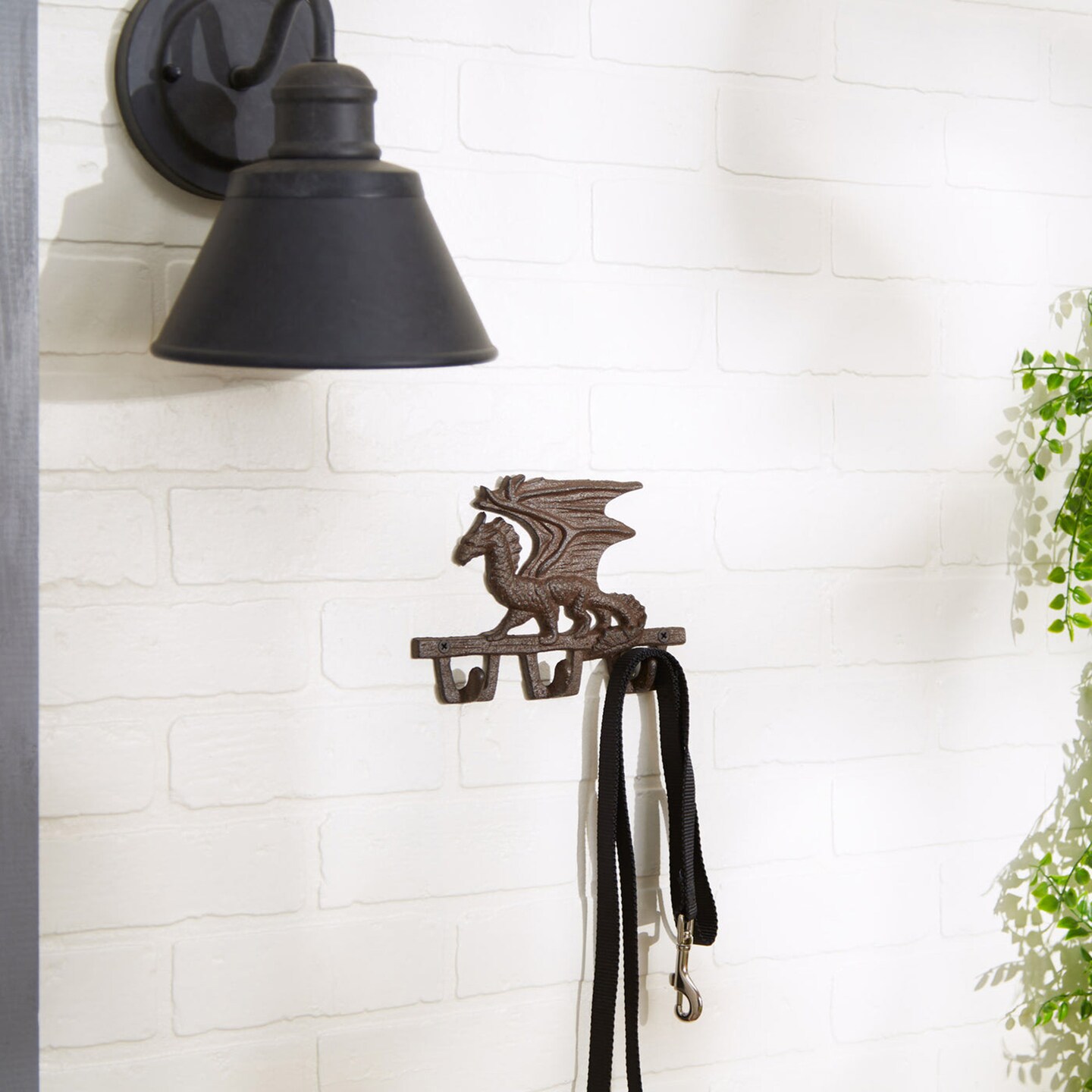 Accent Plus Home Decorative Cast Iron Dragon Wall Hook