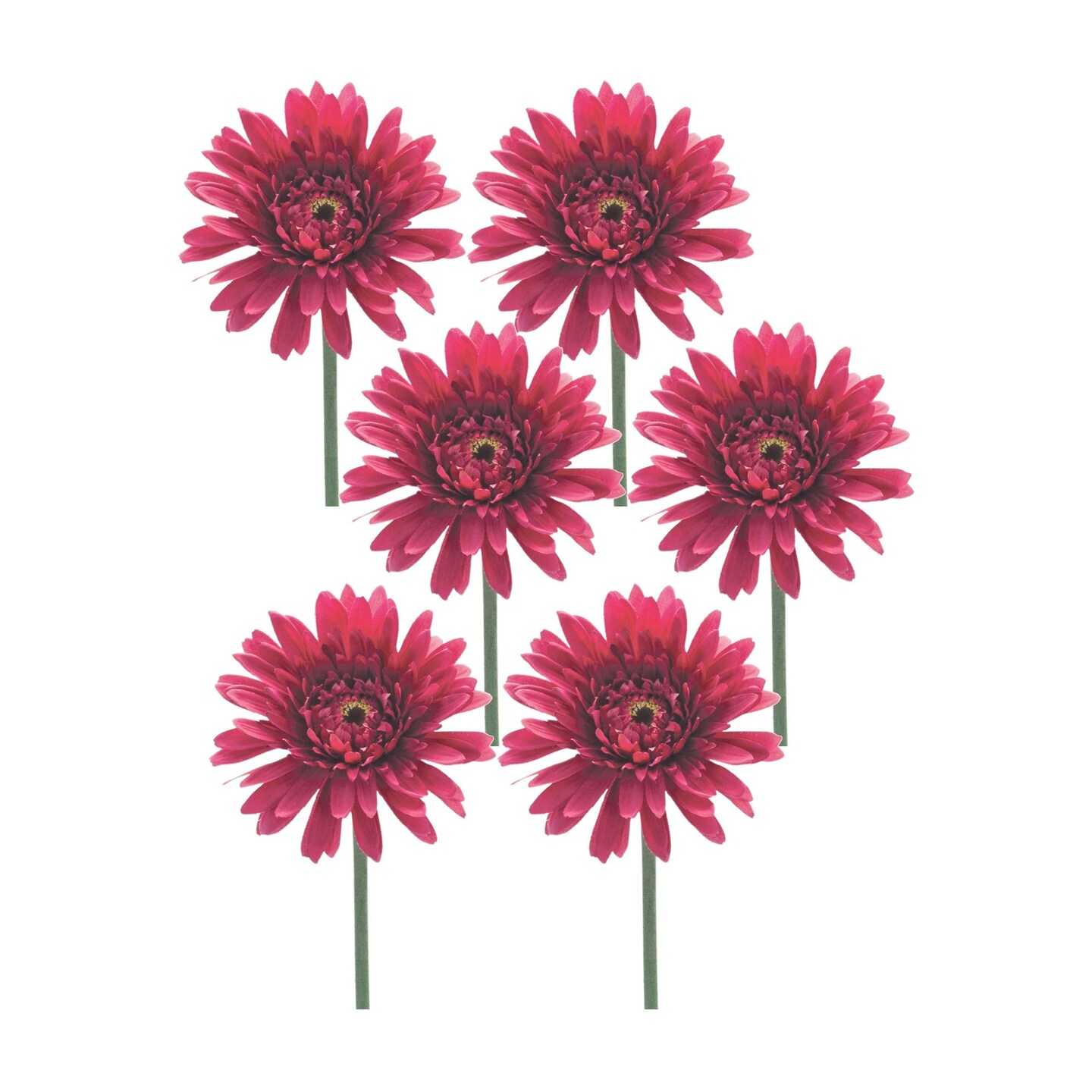 Melrose Set of 6 Pink and Green Gerbera Daisy Spring Floral Artificial Stems 22"