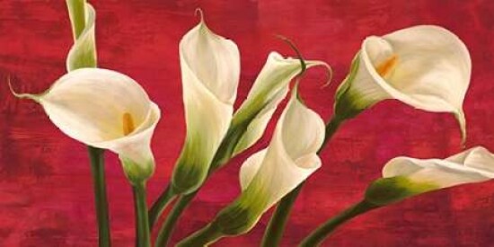 Calle in rosso Poster Print by Serena Biffi - Item # VARPDX2SE2390