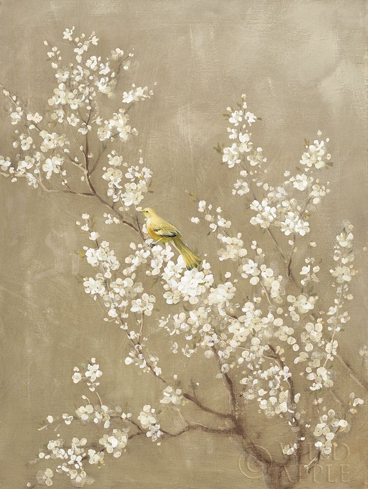 White Cherry Blossom Ii Neutral Crop Bird Poster Print by Danhui Nai - Item # VARPDX22470