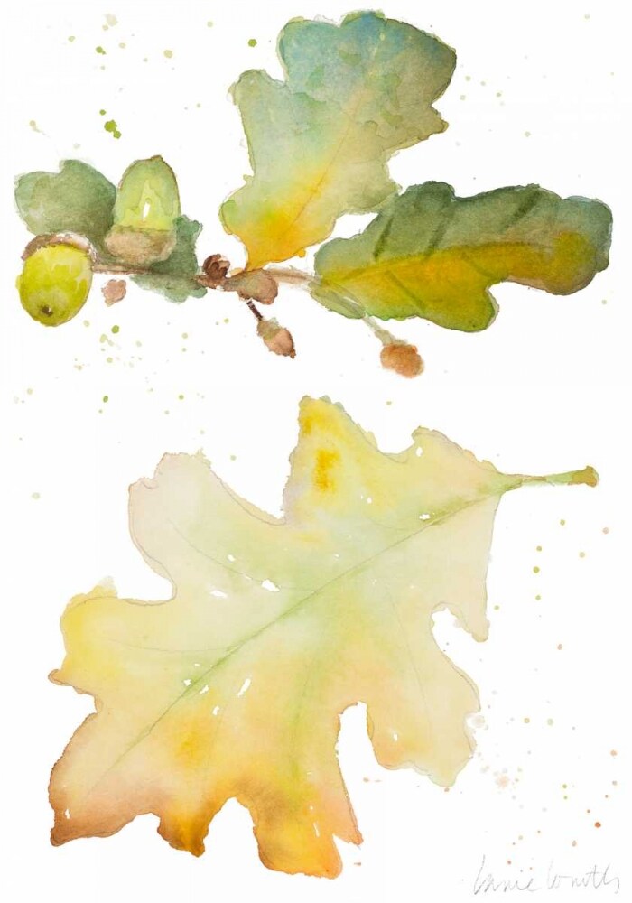 Acorns and Oak Leaves I Poster Print by Lanie Loreth - Item # VARPDX12191