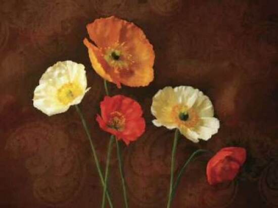 Poppy Perfection I Poster Print by Janel Pahl - Item # VARPDXPLP102