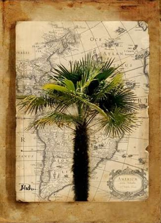 America II Poster Print by Patricia Pinto - Item # VARPDX7021