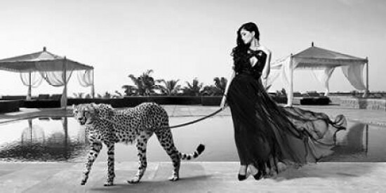 Woman with Cheetah Poster Print by Julian Lauren - Item # VARPDX2AP3659