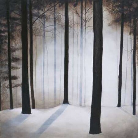 Winter Solace Poster Print by Patrick St.Germain - Item # VARPDX4067
