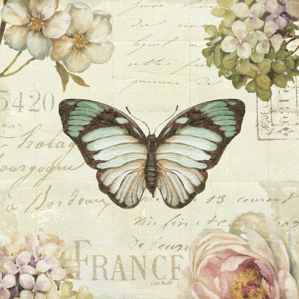 Marche de Fleurs Butterfly II Poster Print by Lisa Audit - Item # VARPDX12236