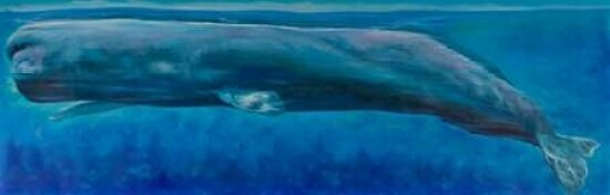 Sperm Whale Poster Print by Atelier B Art Studio - Item # VARPDXBEGANI199