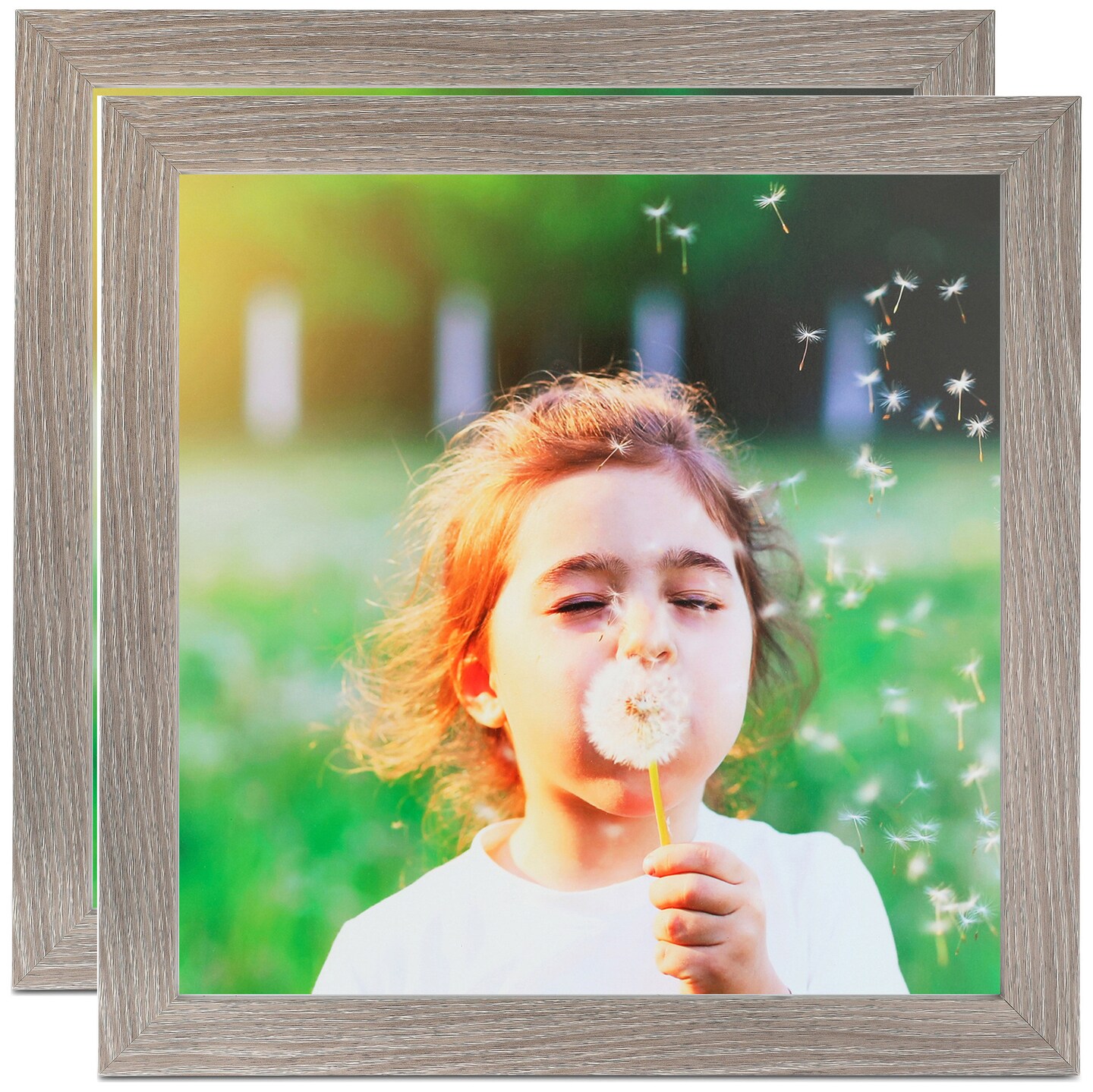 ArtToFrames 20x20 Inch Modern Picture Frame, Multi Pack, Comes with Economy Acrylic (WOMPack-46-20x20)