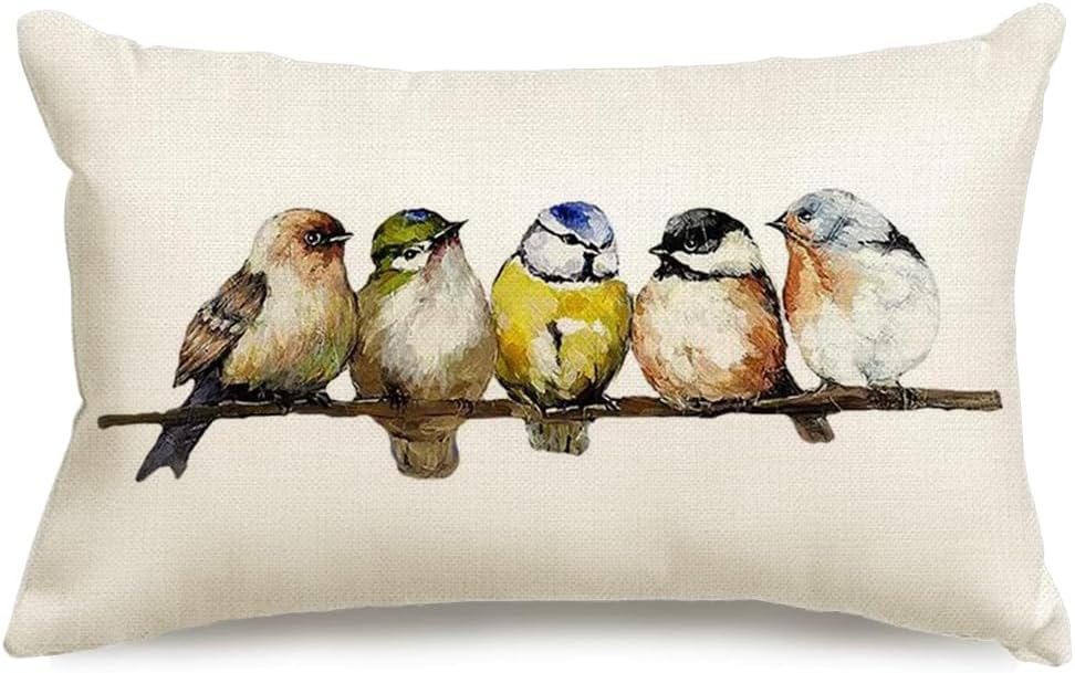 Watercolor Birds Pillows Decorative Throw Pillows 12x20 Hand Painted Oil Painting Rustic Birds Lumbar Pillow Cases CUTE Colorful Spring Summer Decorations for Home Couch Sofa Outdoor Michaels