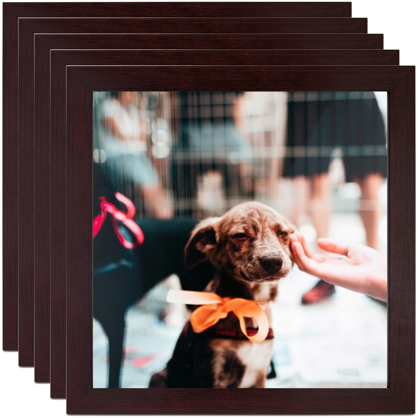 ArtToFrames 9x12 Inch Modern Picture Frame, Multi Pack, Comes with Regular Glass (WOMPack-46-9x12)