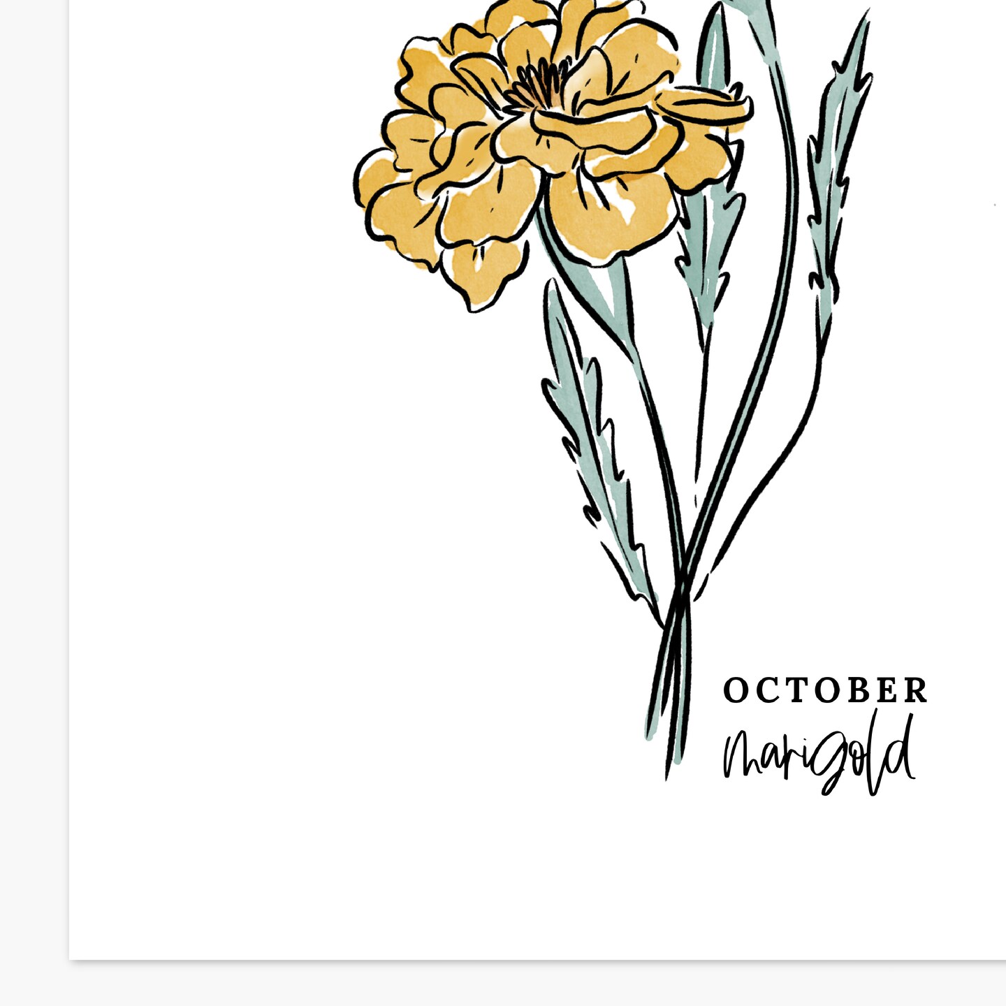 Marigold and Cosmos Tattoo Design