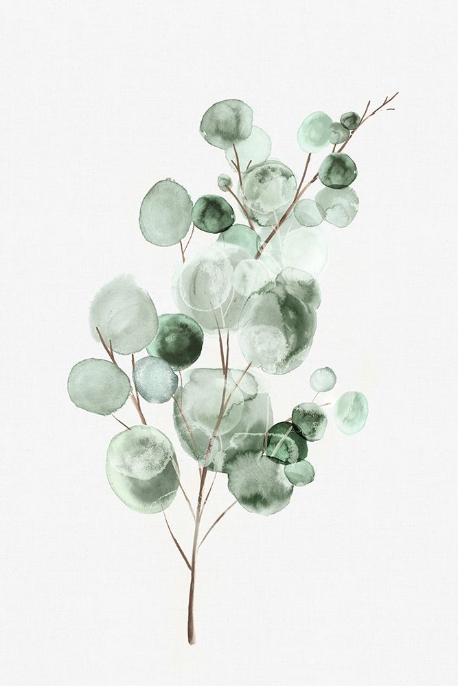 Tender Sprout II Poster Print by Eva Watts - Item # VARPDXEW407A
