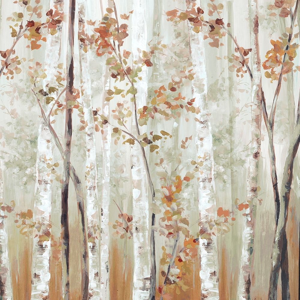 Birch Wood III  Poster Print by Eva Watts # EW600A