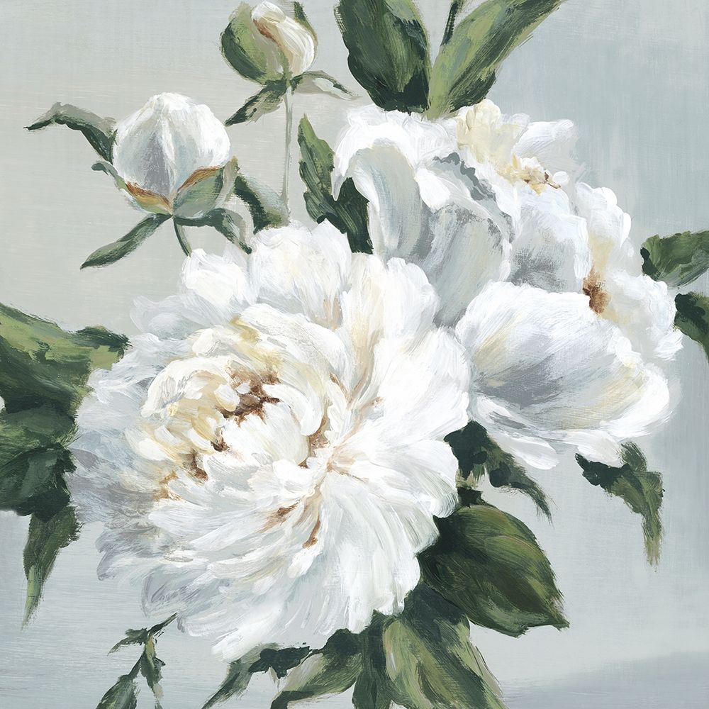 Large Peonies I Poster Print by Eva Watts # EW615A | Michaels