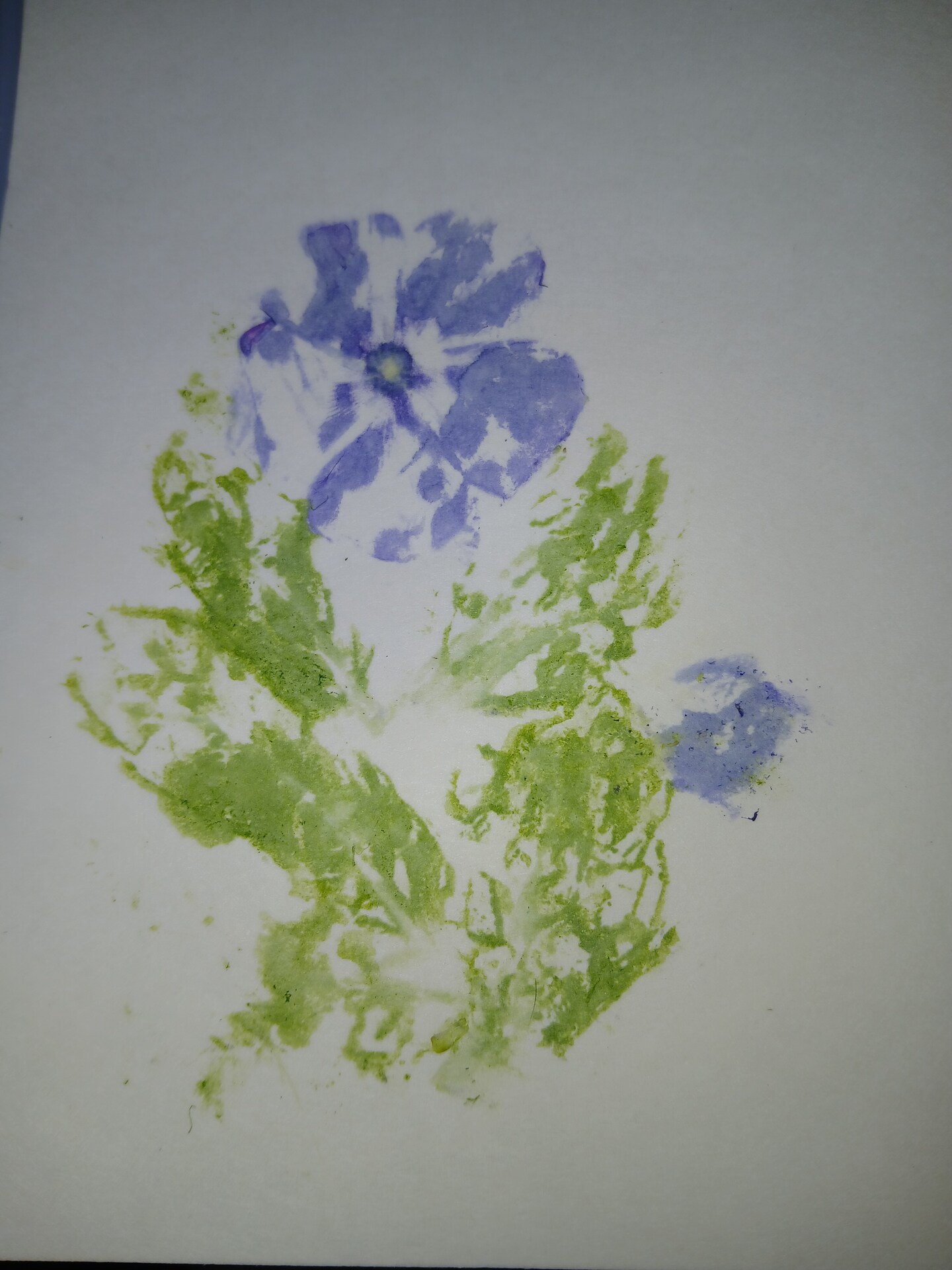 Summer Craft Party Tweens Pressed Flower Drawing